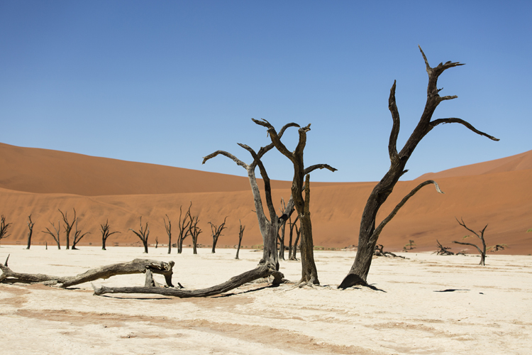 Olay Salcan Namibya Turu İzlenimleri - Dead Vlei