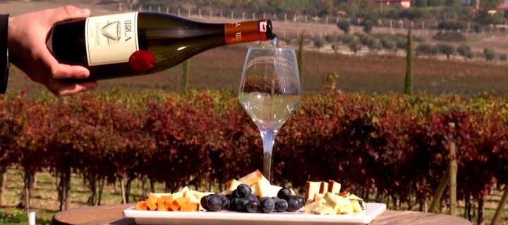 URLA / KLAZOMENAI TURU