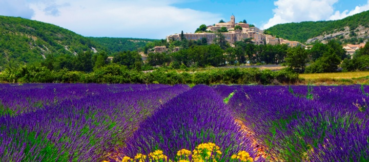 PROVENCE - GÜNEY FRANSA & MARSİLYA